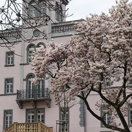 Hotel Rittergut Rottewitz Meißen Exteriér fotografie