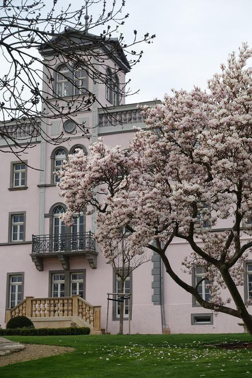 Hotel Rittergut Rottewitz Meißen Exteriér fotografie